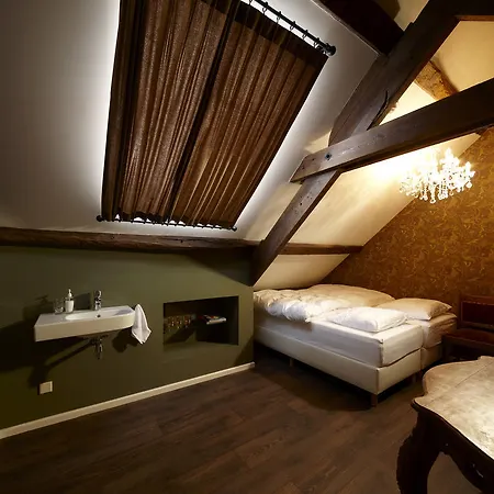 فيلة Aan De Hammermolen